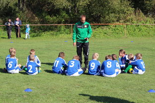 爱游戏平台-德甲战术大变：变化迅速，精彩纷呈，德甲赛制介绍